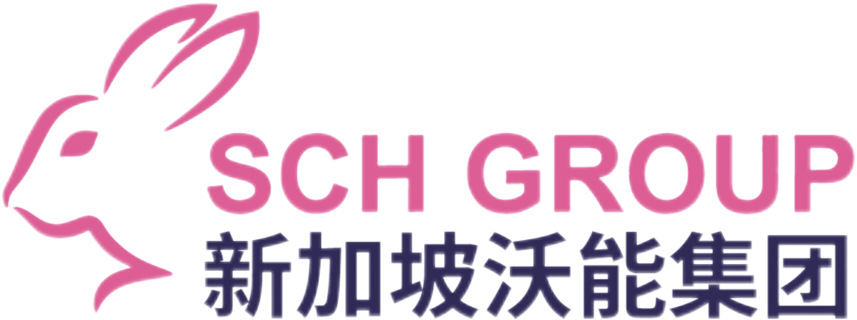 SCH GROUP 沃能集团